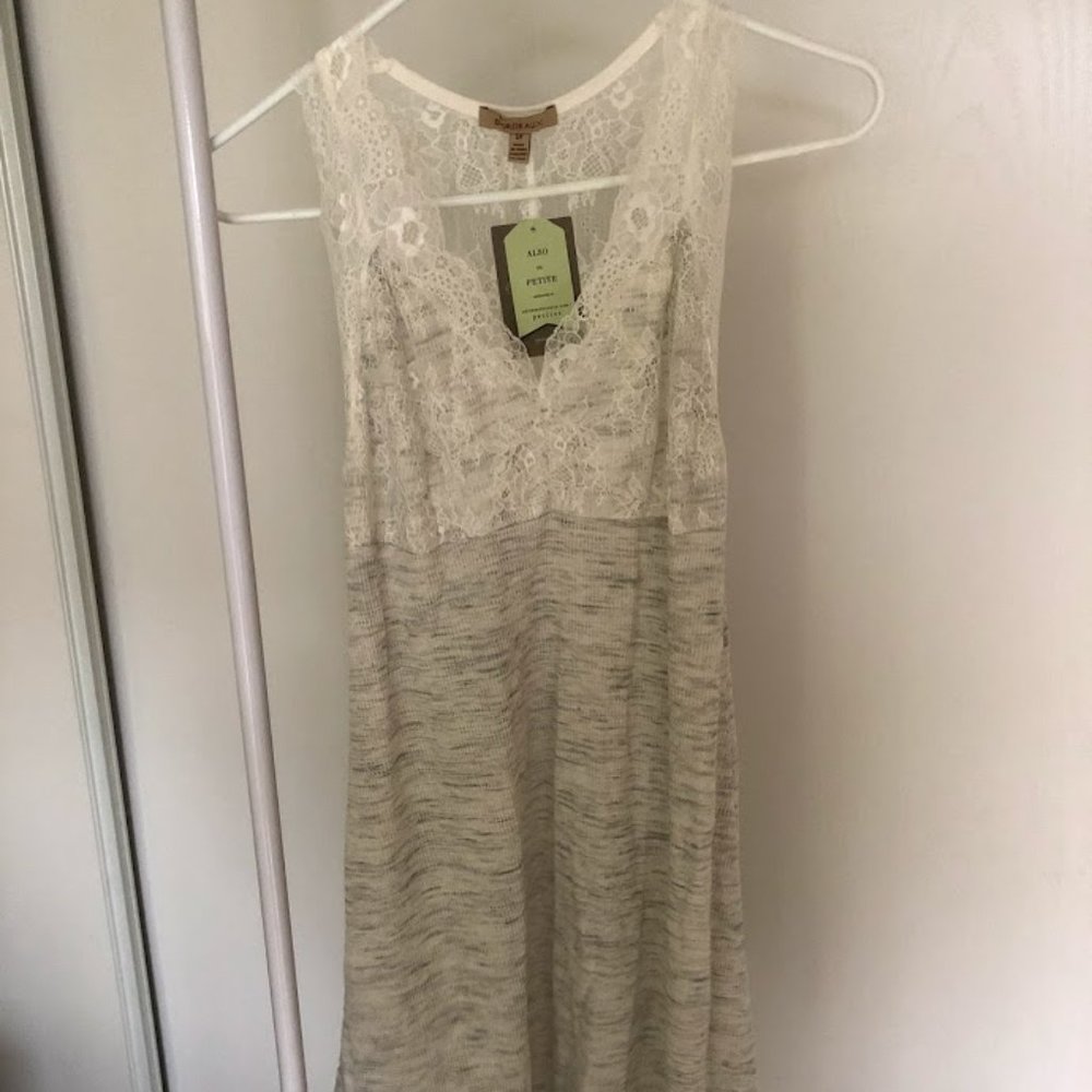 nwt petite dress